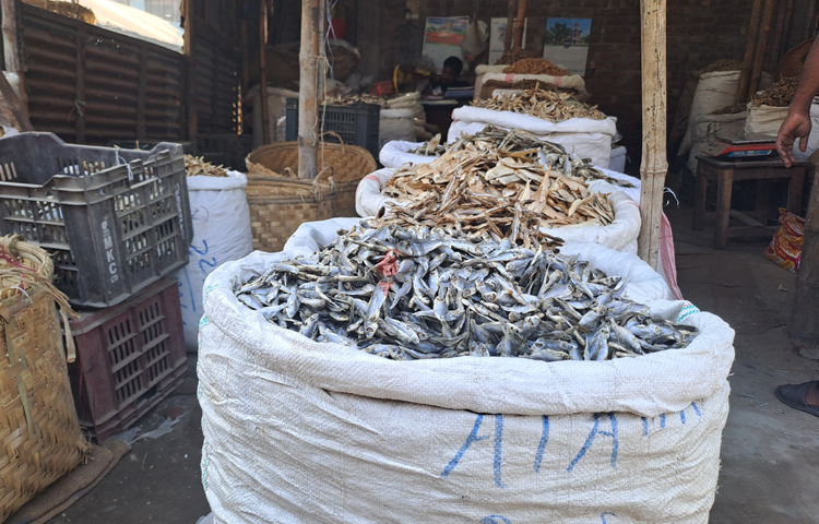 তবে বছরে ৯ মাস বেচাকেনা খুব ভালো থাকলেও মার্চ থেকে মে মাস পর্যন্ত একটু মন্দা থাকে। ছবি: নাসিম উদ্দিন