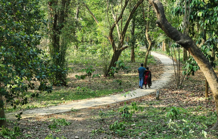 জাতীয় উদ্ভিদ উদ্যান বা বাংলাদেশ ন্যাশনাল হার্বেরিয়াম বাংলাদেশে উদ্ভিদ প্রজাতি সংরক্ষণ, গবেষণা ও প্রদর্শনের সবচেয়ে বড় কেন্দ্র হিসেবে বিবেচিত। কেন্দ্রটি ন্যাশনাল বোটানিক্যাল গার্ডেন নামেও পরিচিত।