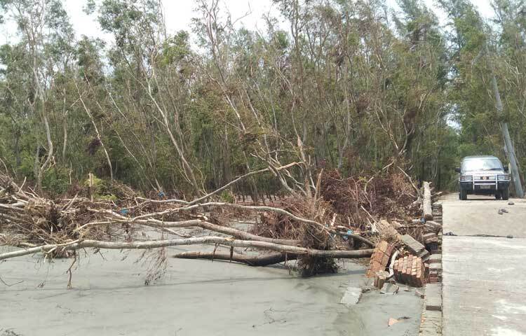 বরগুনা জেলায় বেশ কয়েকটি মৎস্য অবতরণ কেন্দ্র আছে, যা পর্যটকদের জন্য একটি নতুন অভিজ্ঞতা হতে পারে। এর মধ্যে পাথরঘাটা উপজেলার মৎস্য অবতরণ কেন্দ্রটি অত্যন্ত গুরুত্বপূর্ণ।