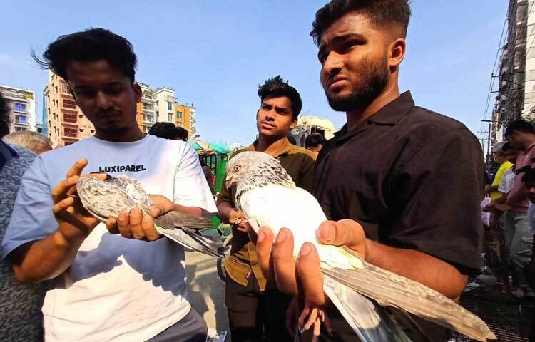 স্থানীয়দের কাছে খুব জনপ্রিয় এ হাট। আশেপাশের এলাকার অনেক দূর-দূরান্ত থেকে মানুষ আসে এ হাটে। কেউ আসেন পণ্য নিয়ে। অনেকেই আসেন প্রয়োজনীয় জিনিসপত্র কিনতে।