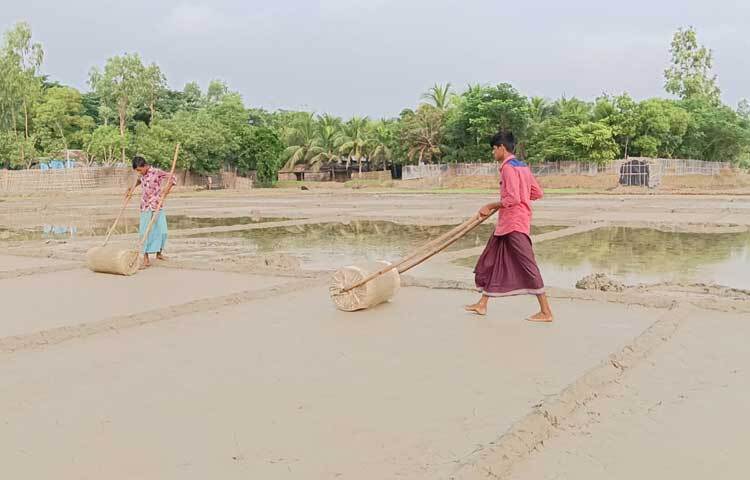 লবণ উৎপাদন শুরু করেছেন উপকূলীয় পেকুয়া এবং চট্টগ্রামের বাঁশখালীর চাষিরাও। কুতুবদিয়া-পেকুয়া ও বাঁশখালী তিন উপজেলায় গত শুক্রবার পর্যন্ত প্রায় ২২০ মেট্রিক টন লবণ উৎপাদিত হয়েছে।