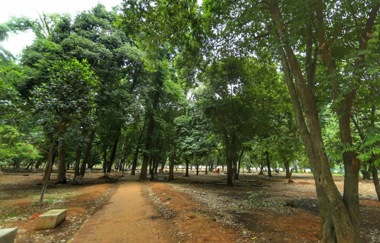 এখনকার সোহরাওয়ার্দী যেন স্মৃতির ওপর দাঁড়ানো এক শূন্য প্যান্ডেল, যার নিচে কেউ আর কথা বলে না, গান গায় না, চিৎকার করে না।