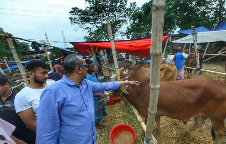 প্রতিটি গরু কেনার পেছনে রয়েছে গল্প; কেউ বোনের জামাইয়ের পছন্দমতো গরু খুঁজছেন, কেউ মায়ের ইচ্ছা ছিল বলে হালকা রঙের গরু খুঁজছেন।