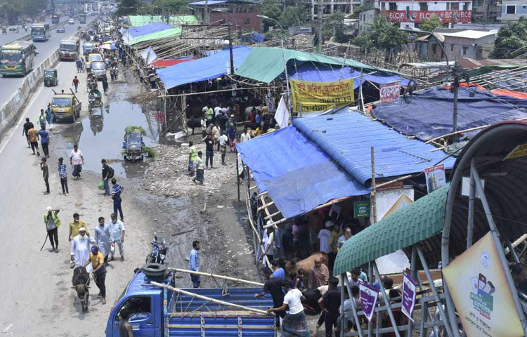 হাটে পশু না থাকায় অনেকেই বাধ্য হয়ে ছোটখাটো গরু নিয়েই কোরবানি দিতে প্রস্তুতি নিচ্ছেন। আবার কেউ কেউ অনলাইনে হাটের বিকল্প খুঁজছেন। অনেকে খোঁজ নিচ্ছেন মসজিদভিত্তিক কোরবানি প্ল্যানেরও।
