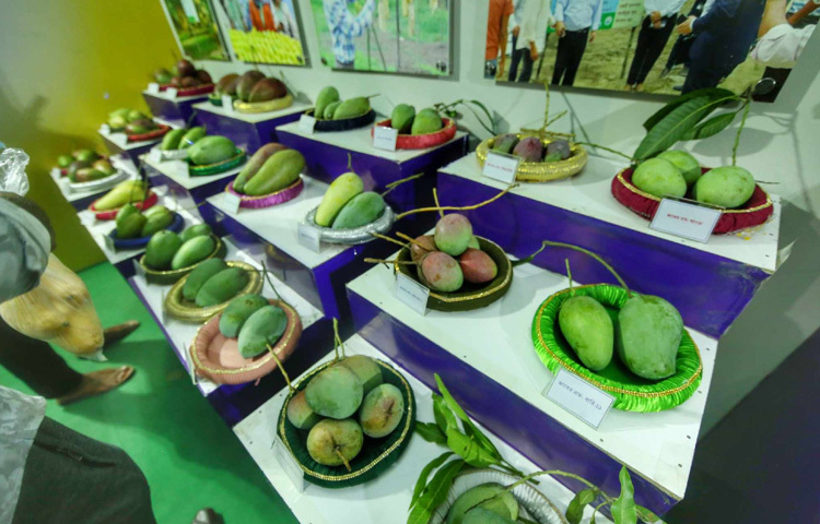 স্টলজুড়ে সাজানো দেশি-বিদেশি হরেক রকম ফল। তবে নজর কাড়ছে দেশি মৌসুমি ফলই। গোপালভোগ, লক্ষণভোগ, হিমসাগর, নানা জাতের আম টক-মিষ্টি স্বাদে মাতিয়ে রেখেছে আগত দর্শনার্থীদের।