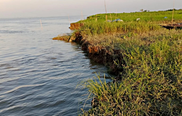 এদিকে, ভাঙন রোধে পানি উন্নয়ন বোর্ডের (পাউবো) নজরদারি ও প্রতিকার নিচ্ছেন না বলে স্থানীয়দের অভিযোগ।