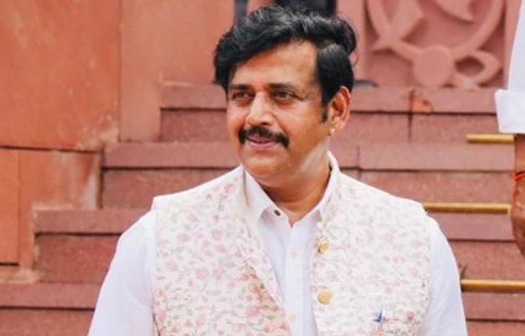 হিন্দি ও ভোজপুরির পাশাপাশি তেলেগু, তামিল, কন্নড় ও পাঞ্জাবি ভাষার সিনেমাতেও কাজ করেছেন। তিনি দক্ষিণ ভারতের প্রযোজকদের কাছেও এক পরিচিত মুখ।