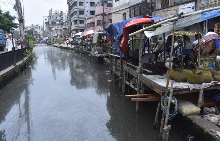সমাধান খুব জটিল নয়; শুধু প্রয়োজন রাজনৈতিক সদিচ্ছা, প্রশাসনিক উদ্যোগ এবং নাগরিক সচেতনতা।