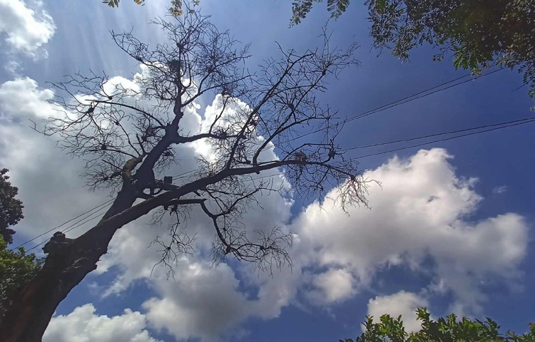 নীল আকাশের সঙ্গে সাদা মেঘ যেন একাকী ক্যানভাসে কলমের আঁচড়ে আঁকা ছন্দময় ছবি। রোদ যে শুধু তপ্ত তাপ নয়, সে আলো দিয়ে শহরের প্রতিটি কোণা উজ্জ্বল করে তুলছে।