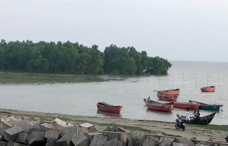 দেখতে অনেকটা পতেঙ্গা সমুদ্রসৈকতের মতো এই ডোমখালী সমুদ্রসৈকত। নতুন নির্মিত বেড়িবাঁধ জুড়ে সবুজের সমারোহ, পাখিদের কোলাহল, কিছুদূর পর পর সাগরের সঙ্গে মিশে যাওয়া ছোট ছোট খালের অবিরাম বয়ে চলা, বাঁধের পূর্বে গ্রামীণ জনপদ আর দক্ষিণে সাগরের কোল জুড়ে ম্যানগ্রোভ বন। এসব প্রাকৃতিক সৌন্দর্যে মুগ্ধ হবে যে কেউ।  ছবি: এম মাঈন উদ্দিন