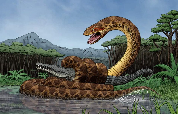 টাইটানোবোয়ার বিলুপ্তির কারণ হিসেবে বিজ্ঞানীরা বৈশ্বিক তাপমাত্রার পরিবর্তনকে অন্যতম কারণ হিসেবে উল্লেখ করেছে। ছবি: সংগৃহীত