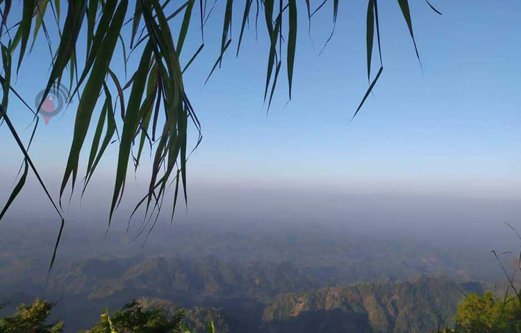 শিশিরের ছোঁয়ায় যেন সতেজ হয়ে উঠেছে পাহাড়ের গাছপালা।  ছবি: সাইফুল উদ্দিন