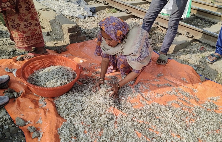 দেশের বিভিন্ন এলাকা থেকে মাছ আসে রাজধানীর কাওরান বাজার, যাত্রাবাড়ীসহ বিভিন্ন মাছের আড়তে। পাইকারি দামে মাছ কিনতে অনেকেই ভিড় করেন এসব বাজারে। পছন্দমতো মাছ কিনে কাটিয়ে নিয়ে যান বাড়িতে। বাজারের বিক্রি করা বড় রুই, কাতলা, কোরালসহ নানা মাছের আঁশ সংগ্রহ করে রাখেন মাছ কাটা শ্রমিকরা। এরপর পরিছন্নতাকর্মী কিংবা নিজেরাই সংরক্ষণ করেন এসব মাছের আঁশ। পরিত্যক্ত এসব মাছের আঁশ বাজার থেকে সংগ্রহ করার পর প্রথমে ধুয়ে পরিষ্কার করা হয়। এরপর প্লাস্টিক সিট অথবা পরিষ্কার কোনো পাত্রে আঁশগুলো মেলে দিয়ে রোদে শুকানো হয়। ছবি: জিহাদুল ইসলাম