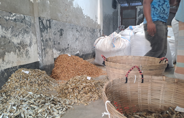 এখানে প্রায় ৫০ জাতের শুঁটকি মাছ পাওয়া যায়। মান ও জাতভেদে সর্বনিম্ন ৮০ টাকা থেকে শুরু করে ২৫০০-২৮০০ টাকা কেজি দরে বিক্রি হয় এসব শুঁটকি। ছবি: নাসিম উদ্দিন