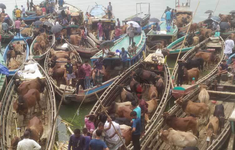 অনেকে ঘাটেই সেরে নিচ্ছেন কেনাবেচার কাজ। ছবি: সাইফুল উদ্দীন