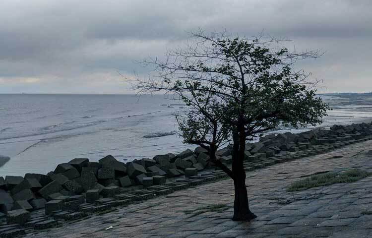 যতদূর চোখ যায় গহীন জলরাশি ছুঁই ছুঁই সুনীল আকাশ। ছবি: এম মাঈন উদ্দিন