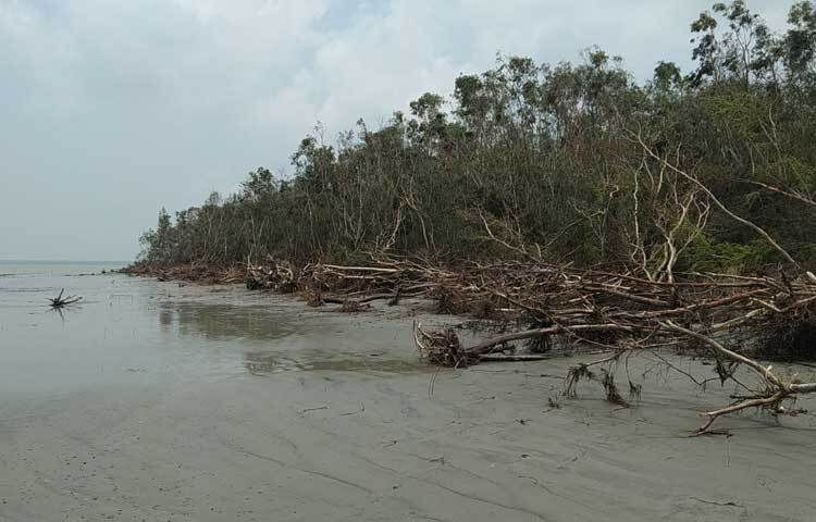 বরগুনা নদী ও সমুদ্রের মিলনস্থলে অবস্থিত, তাই এখানে নদ-নদীর বৈচিত্র্য ভ্রমণপিপাসুদের জন্য বাড়তি আকর্ষণ তৈরি করে। বরগুনায় আছে বিষখালী, পায়রা ও বলেশ্বর নদী, যা জেলে ও পর্যটকদের নৌবিহারের জন্য উপযুক্ত।