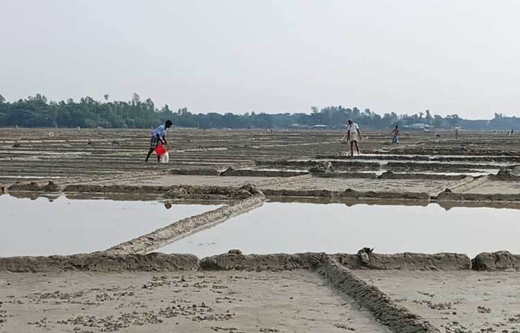 লবণ উৎপাদনের প্রস্তুতি চলছে সাগর তীরবর্তী উপকূল মহেশখালী, চকরিয়া, ঈদগাঁও, কক্সবাজার সদর এলাকাতেও।