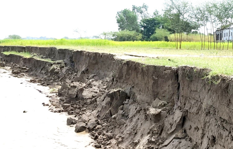 জানা গেছে, পদ্মা নদীতে পানি বৃদ্ধির সঙ্গে সঙ্গে শুরু হয় ভাঙন। প্রায় ১৫ দিনে ভাঙনের শিকার হয়েছেন সদরপুর ও চরভদ্রাসন উপজেলার শয়তান খালি ঘাট, খোকারাম সরকারের ডাঙ্গী, গোপালপুর ঘাটসহ বেশ কয়েকটি এলাকা।