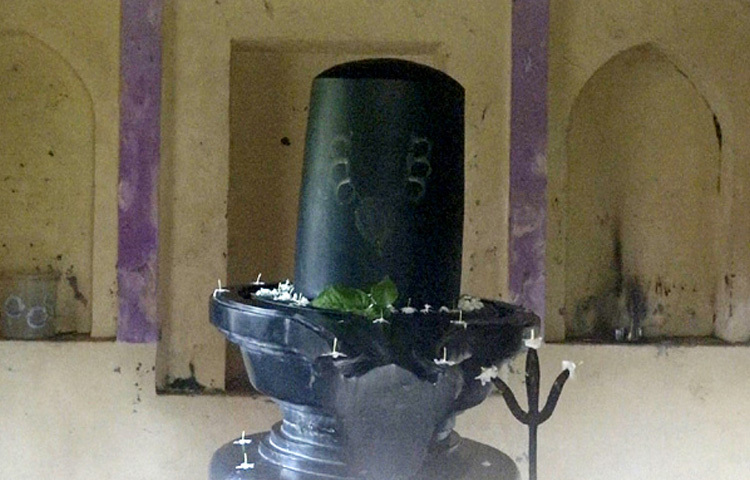 এরই একটি মঠে স্থাপন করা হয়েছে ২৫ মণ ওজনের বিশালাকার একটি শিবলিঙ্গ। কষ্টি পাথরের তৈরি এ মহামূল্যবান শিবলিঙ্গটি উপমহাদেশের সবচেয়ে বড় শিবলিঙ্গ বলে জনশ্রুতি আছে।