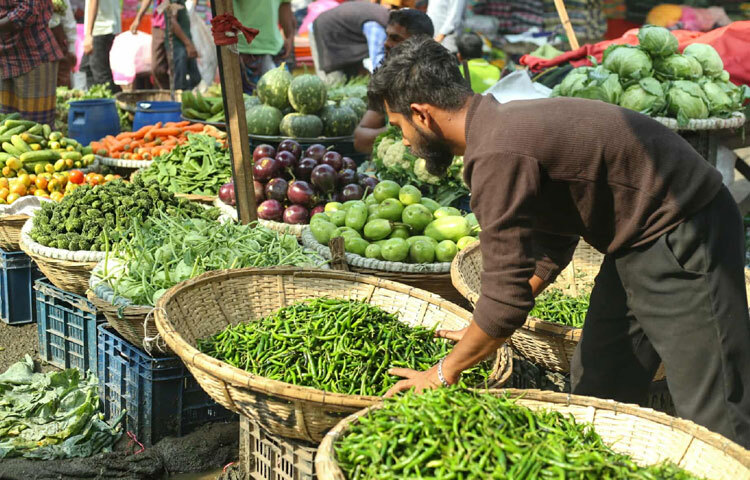 বাঁধাকপি ৩০