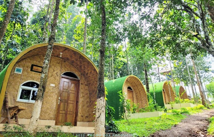 বাঁশ ও ছনের তৈরি অরণ্যনিবাস ইকো রিসোর্টটি সহজেই চোখ জুড়াবে দর্শনার্থীদের। রিসোর্টে রয়েছে মনোমুগ্ধকর প্রাকৃতিক দৃশ্য ছাড়াও গ্রামবাংলার ঐতিহ্যে তৈরি ৮টি কটেজ। রিসোর্টে রয়েছে ৮টি কক্ষ। এ ছাড়া রয়েছে শিক্ষার্থীদের জন্য আলাদা ৬টি পট হাউসের ব্যবস্থা। এ কটেজের রুম বিশেষভাবে তৈরি করা হয়েছে। প্রতিটা রুমে রয়েছে এসি। শুক্র ও শনিবার কটেজের বড় রুমগুলোর ভাড়া সাড়ে ৫ হাজার টাকা এবং অন্যান্য দিনের জন্য রয়েছে সাড়ে ৪ হাজার টাকা। মৌলভীবাজারের কমলগঞ্জ উপজেলার সদর ইউনিয়নের ৭নং ওয়ার্ডের বনগাঁও গ্রামে এ রিসোর্টের অবস্থান। ছবি: ওমর ফারুক নাঈম