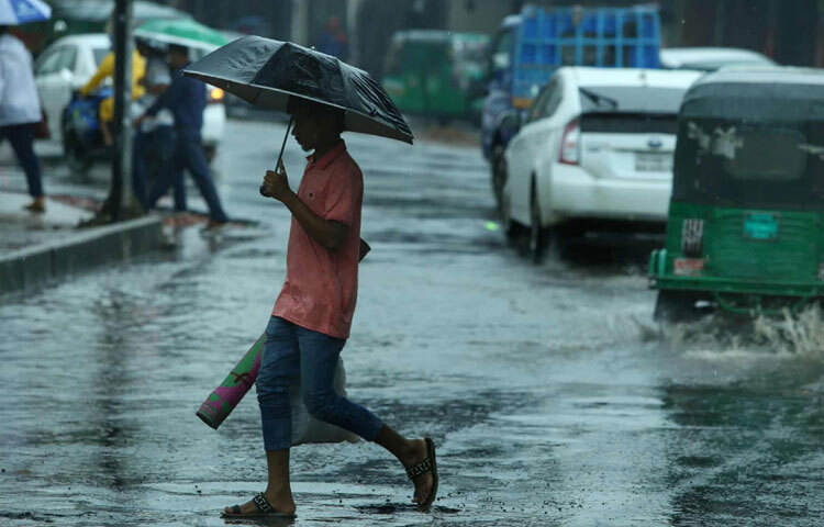 ঢাকার বৃষ্টিভেজা সকাল তাই কেবল প্রকৃতির খেলা নয়, এটা এক জীবন্ত গল্প। যে গল্পে রয়েছে শ্রম, সংগ্রাম আর জীবনের অদম্য গতি।