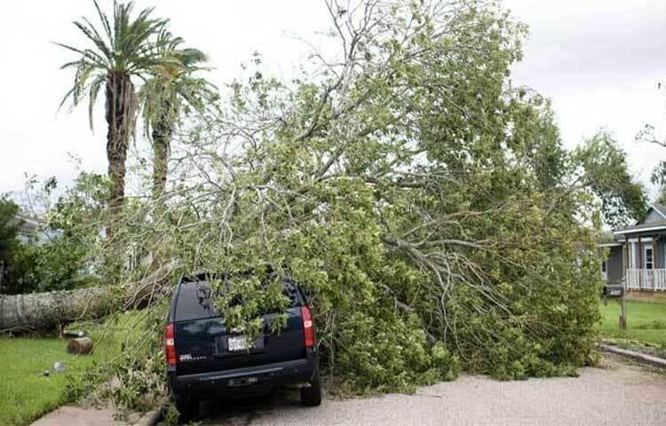 যুক্তরাষ্ট্রে ঘূর্ণিঝড় বেরিলের আঘাতে কমপক্ষে ৮ জন নিহত হয়েছে। বিভিন্ন স্থানে গাছ-পালা ভেঙে পড়েছে এবং ভয়াবহ বন্যা পরিস্থিতি তৈরি হয়েছে। ছবি: এএফপি