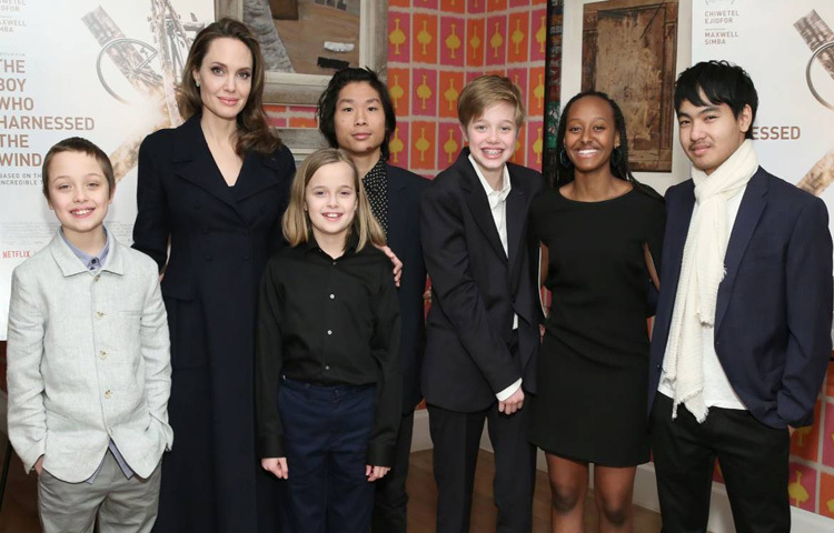 তাদের দাম্পত্য জীবনে রয়েছে ৬ সন্তান। তাদের মধ্যে তিনজন দত্তক নেওয়া এবং তিনজন জোলি-পিট দম্পতির জৈবিক সন্তান।