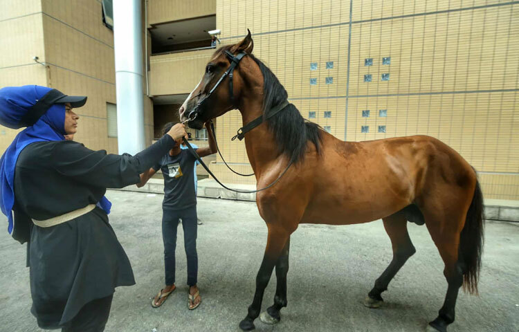 কেউ এসেছেন প্রজাতি সম্পর্কে জানতে, কেউ আবার এসেছেন শিশুদের নিয়ে কাছ থেকে প্রাণীগুলোকে দেখাতে।