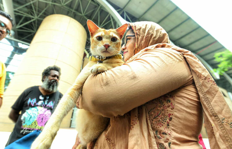 দর্শনার্থীদের মধ্যে প্রাণীদের সঠিক যত্ন, খাদ্যাভ্যাস, চিকিৎসা ও দায়িত্বশীলতা সম্পর্কে সচেতনতা তৈরিই মেলার অন্যতম লক্ষ্য।
