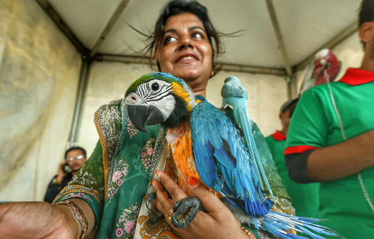 চীন মৈত্রী সম্মেলন কেন্দ্রের দিনব্যাপী এ প্রদর্শনীতে সকাল থেকে রাত পর্যন্ত দর্শনার্থীরা প্রবেশ করতে পারবেন।