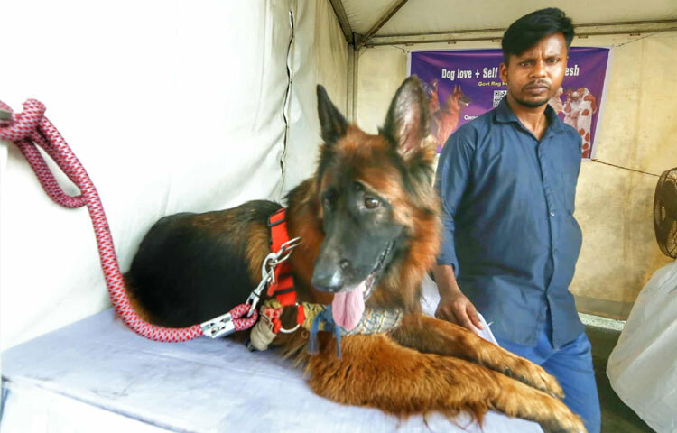 বিভিন্ন প্রজাতির কুকুর, ঘোড়া ও পাখির প্রদর্শনীতে ভিড় করছেন দর্শনার্থীরা।