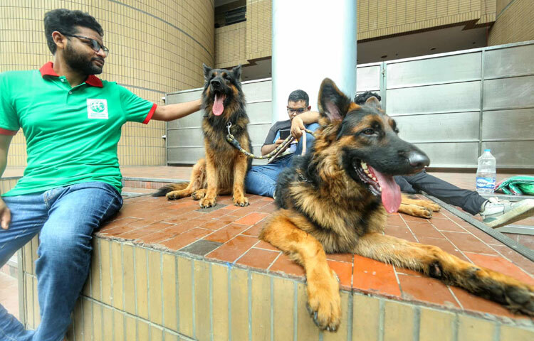 প্রদর্শনীর বিশেষ আকর্ষণ হিসেবে ছিল দেশি-বিদেশি কুকুরের শোভাযাত্রা।