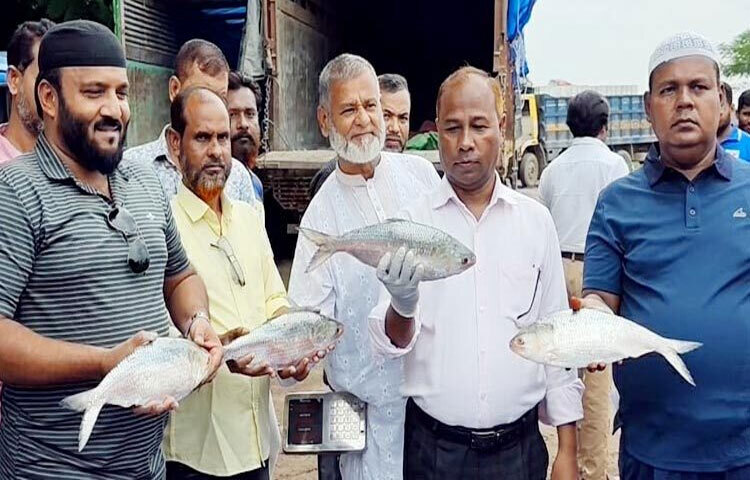 ব্রাহ্মণবাড়িয়ার আখাউড়া স্থলবন্দর দিয়ে প্রায় ১২০০ কেজি ইলিশ ভারতে রপ্তানি হয়েছে। ছবি: আবুল হাসনাত মো. রাফি