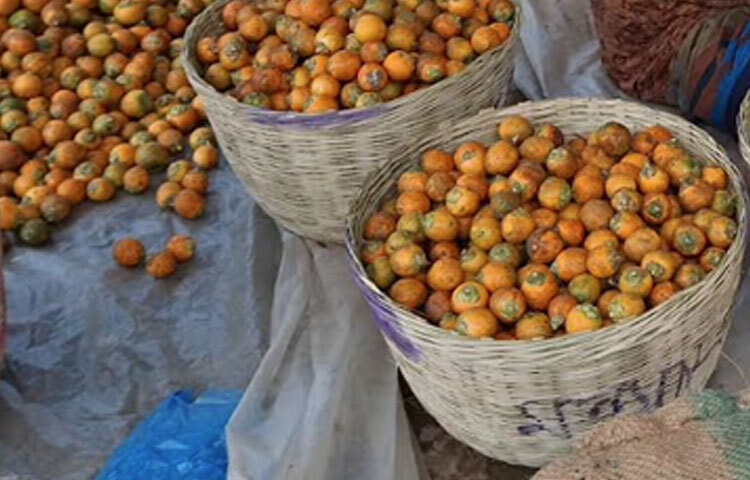 বাধাল বাজারের সুপারির ব্যবসাকে কেন্দ্র করে প্রায় ৫ শতাধিক শ্রমিকের কর্মসংস্থান হয়েছে। যারা সুপারি বাছাই, গোনা, বস্তা ভরা ও ট্রাকে ওঠানোর কাজ করে দিনে ১ হাজার থেকে ২ হাজার টাকা আয় করেন।