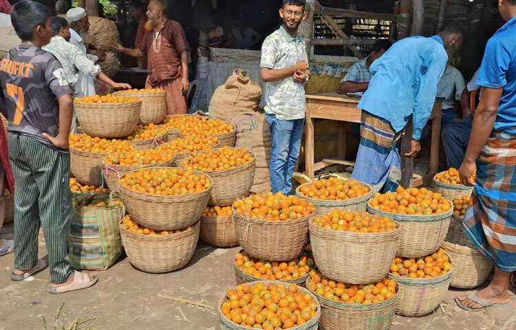জেলার বিভিন্ন জায়গা থেকে ঝুড়ি, ব্যাগ ও বস্তায় নিয়ে আসা সুপারি দর কষাকষির মাধ্যমে বেচাকেনা চলে দুপুর পর্যন্ত। বাজারের দিনে এক থেকে দেড় কোটি টাকার সুপারি বিক্রি হয়। পাইকারদের হাত ঘুরে এই সুপারি চলে যায় চট্টগ্রাম, রংপুর, কুমিল্লাসহ দেশের বিভিন্ন স্থানে।