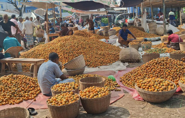 জেলার অন্যতম বড় সুপারির হাট কচুয়া উপজেলার বাধাল বাজার। সপ্তাহে দুইদিন রোববার ও বৃহস্পতিবার ভোরের আলো ফুটতেই ক্রেতা-বিক্রেতাদের হাকডাকে মুখর হয়ে ওঠে হাটটি।