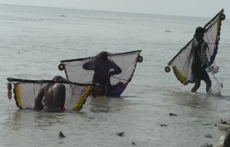নিষেধাজ্ঞা অমান্য করে ভোলার মেঘনা ও তেঁতুলিয়া নদীতে অবাধে চলছে অবৈধ বাগদা ও গলদা চিংড়ির রেণু শিকারের মহোৎসব। ছবি: জুয়েল সাহা বিকাশ