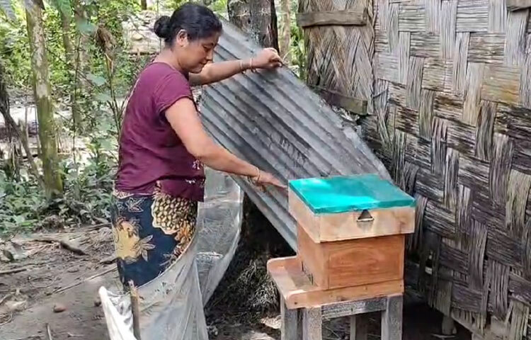 ২০১২-২০১৩ সাল থেকে জেলার রোয়াংছড়ি তেতুলিয়া পাড়ায় প্রথম ১৫ জন উদ্যোক্তার মাধ্যমে মৌচাষ শুরু হয়। বর্তমানে রুমা, থানচি, লামা, আলীকদম, নাইক্ষ্যংছড়ি ও সদর উপজেলাসহ ৭ উপজেলাতেই মৌচাষ করা হচ্ছে।