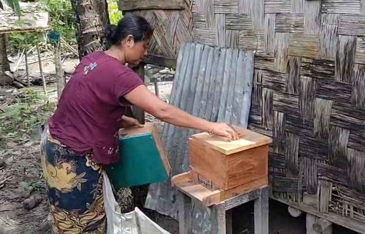 বান্দরবানের রোয়াংছড়ি উপজেলার তারাছা ইউপির তেতুলিয়া পাড়ায় গিয়ে দেখা যায়, পাড়াটির ৯০ শতাংশ বাসিন্দাদের বাড়ির আঙ্গিনায় রয়েছে অন্তত ৬০টির বেশি মৌ বাক্স। ২ মাস অন্তর প্রতি বাক্স থেকে ২-৩ কেজি মধু সংগ্রহ করা হয়। আর এই মধু সম্পূর্ণ প্রাকৃতিক ও ভেজাল মুক্ত হওয়ায় স্থানীয় বাজারে বেশ চাহিদাও রয়েছে।