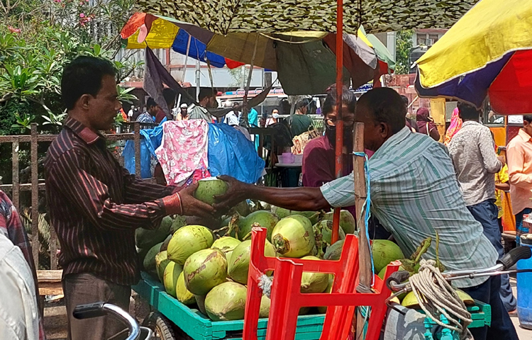 আকাশচুম্বী এই ডাবের দাম এখন নিম্ন-মধ্যবিত্তদের ক্রয় ক্ষমতার বাইরে। ছোট বা বড় সাইজের একটি ডাব খেতে চাইলেই গুনতে হচ্ছে বড় অংকের টাকা। ছবি: শাওন খান