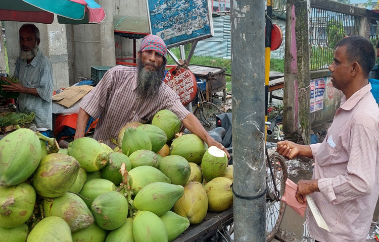 বরিশালে আকার ভেদে প্রতিপিস ডাব বিক্রি হচ্ছে ১৪০-১৬০ টাকা দরে। ছবি: শাওন খান