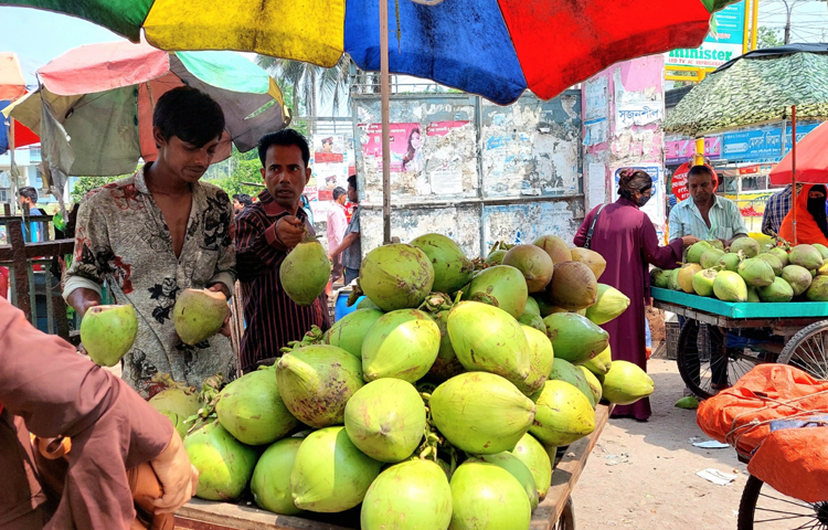 হাসপাতালে চিকিৎসাধীন রোগীদের জন্য অনেকটা বাধ্য হয়েই বেশি দামে ডাব কিনে নিচ্ছেন স্বজনরা। ছবি: শাওন খান
