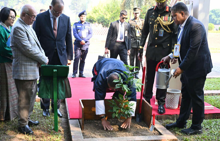 পরে সেখানে একটি গাছের চারা রোপণ করেন।