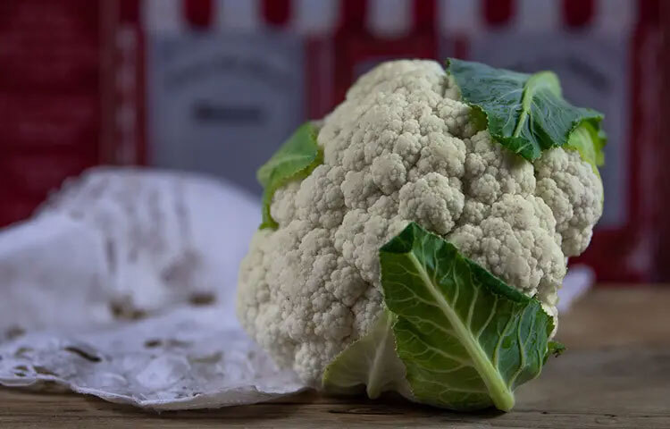 রক্তে শর্করার মাত্রা নিয়ন্ত্রণে সহায়ক: গ্লুকোজ নিয়ন্ত্রণে রাখার ক্ষেত্রে ফুলকপি বিশেষ কার্যকর। এতে শর্করার স্তর দ্রুত বৃদ্ধি পায় না, তাই এটি ডায়াবেটিস রোগীদের খাদ্য তালিকায় অন্তর্ভুক্ত করা যেতে পারে।