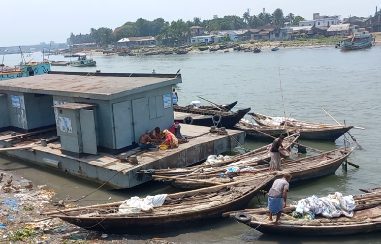 মাছ ধরায় দুই মাসের নিষেধাজ্ঞা শেষে কাঙ্ক্ষিত ইলিশ পাচ্ছে না জেলেরা। ইলিশ সরবরাহ কম থাকায় চাঁদপুর বড়স্টেশন ঘাটে এখনো জমে উঠেনি কেনাবেচা। ছবি: শরীফুল ইসলাম