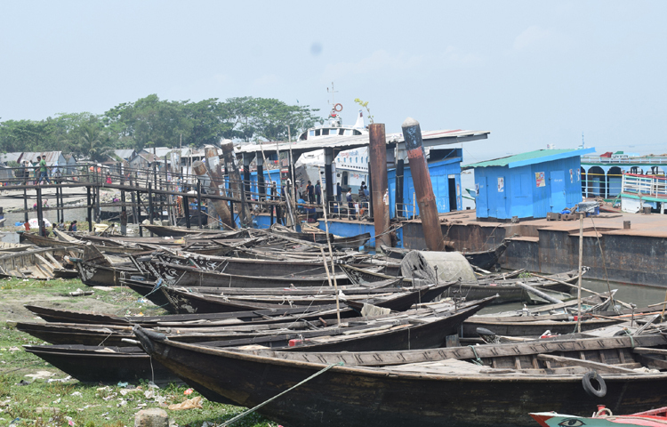 চাঁদপুরের পদ্মা-মেঘনায় মার্চ-এপ্রিল দুই মাস মাছ ধরার নিষেধাজ্ঞার সময় অভিযানে জেলেদের কাছ থেকে ৬০টি নৌকা জব্দ করে টাস্কফোর্স। আনুমানিক প্রায় কোটি টাকা মূল্যের এসব নৌকা এখন পড়ে পড়ে নষ্ট হচ্ছে। ছবি: শরীফুল ইসলাম