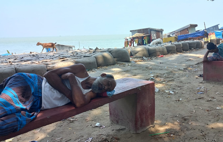 গাছের ছায়ায় প্রশান্তির ঘুম। ছবি: শরিফুল ইসলাম