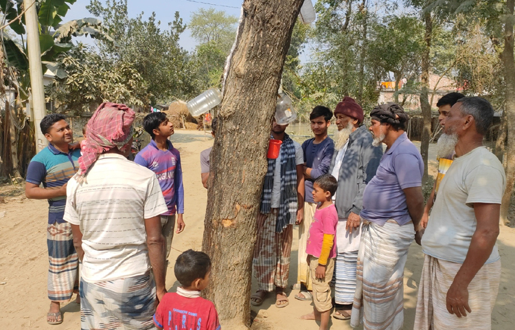 নিমগাছ থেকে সাদা ফেনার মতো বেয়ে পড়ছে রস। ছোট ছেলেমেয়েরা হাতে নিয়েই চেটে চেটে খাচ্ছে সেই রস। এতে নাকি রোগবালাই থেকে মুক্ত হচ্ছেন অনেকে। গাছটি ঘিরে উৎসুক জনতার জটলা। ছবি: সোহান মাহমুদ